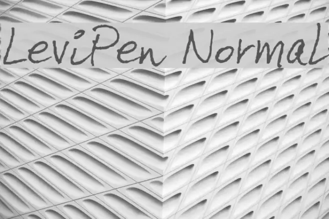 LeviPen Normal Example 2