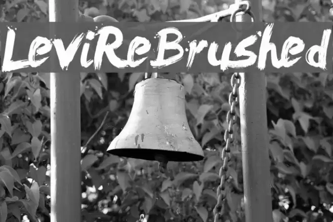 LeviReBrushed Font examples