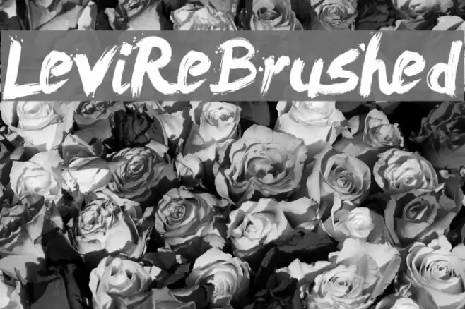 LeviReBrushed Font examples