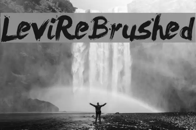 LeviReBrushed Font examples