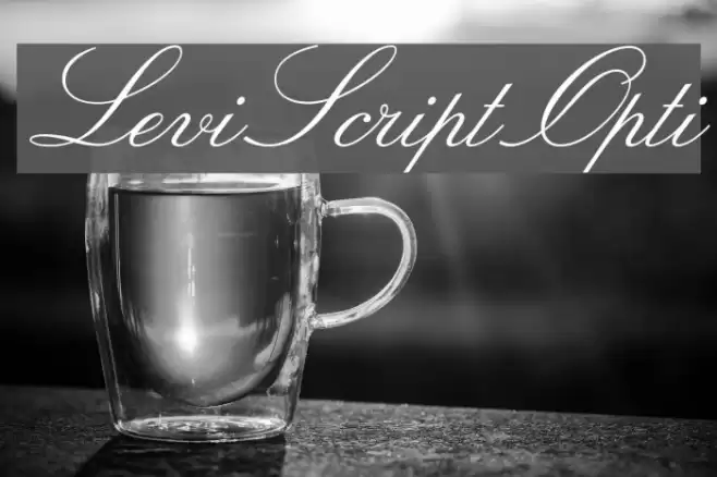 LeviScriptOpti Font examples