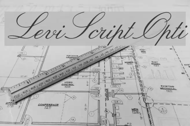 LeviScriptOpti Font examples
