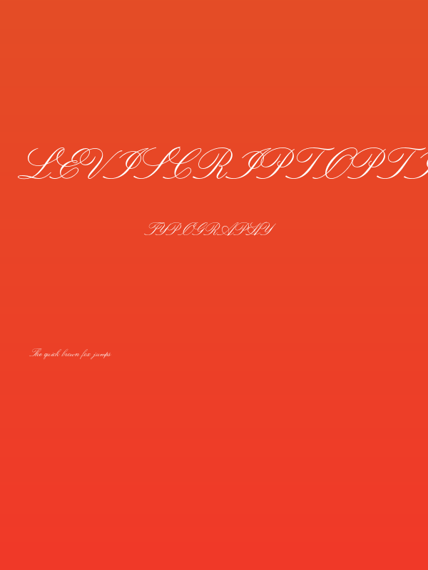 LeviScriptOpti Poster