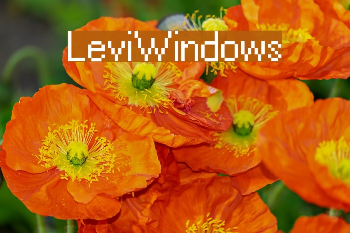 LeviWindows Font examples