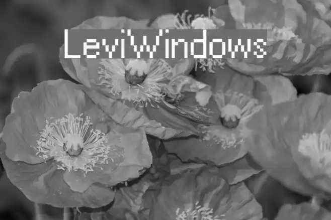 LeviWindows Шрифта examples