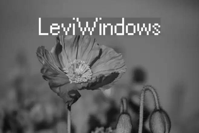 LeviWindows Шрифта examples