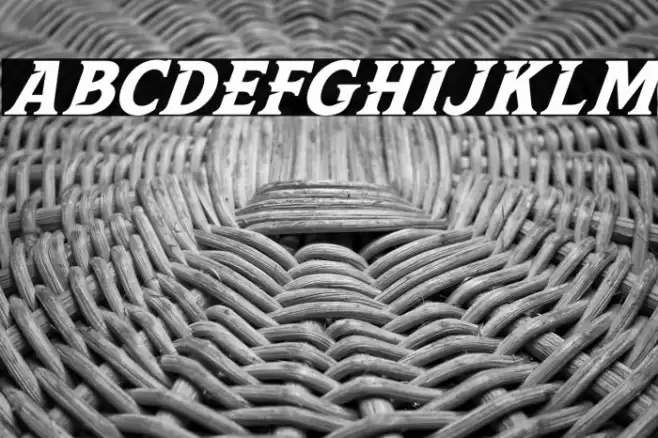 Leviathan Italic Font examples