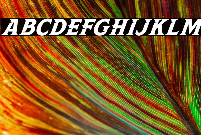 Leviathan Italic Example 2