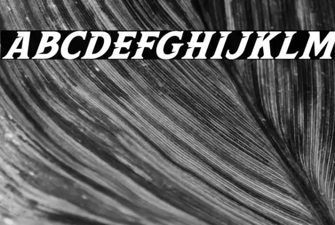 Leviathan Italic Font examples