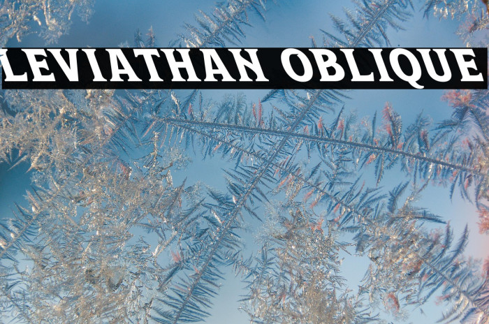 Leviathan Oblique Example 1