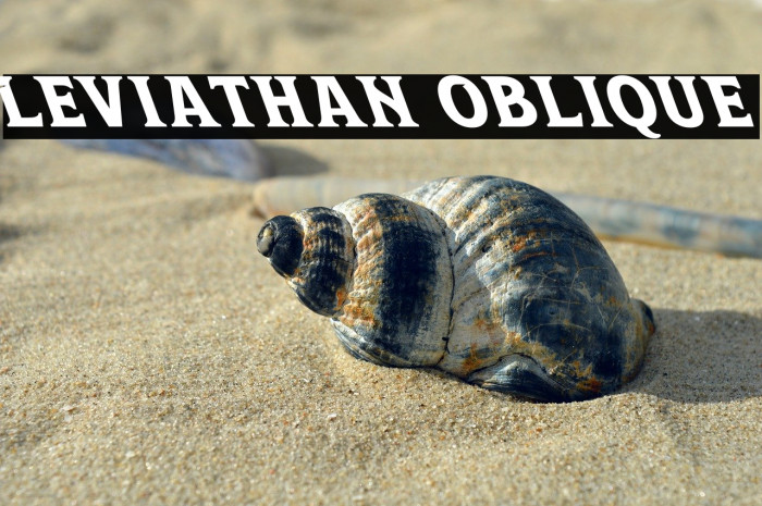 Leviathan Oblique Example 2
