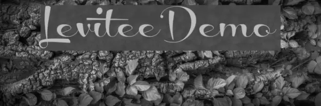 LeviteeDemo Font examples