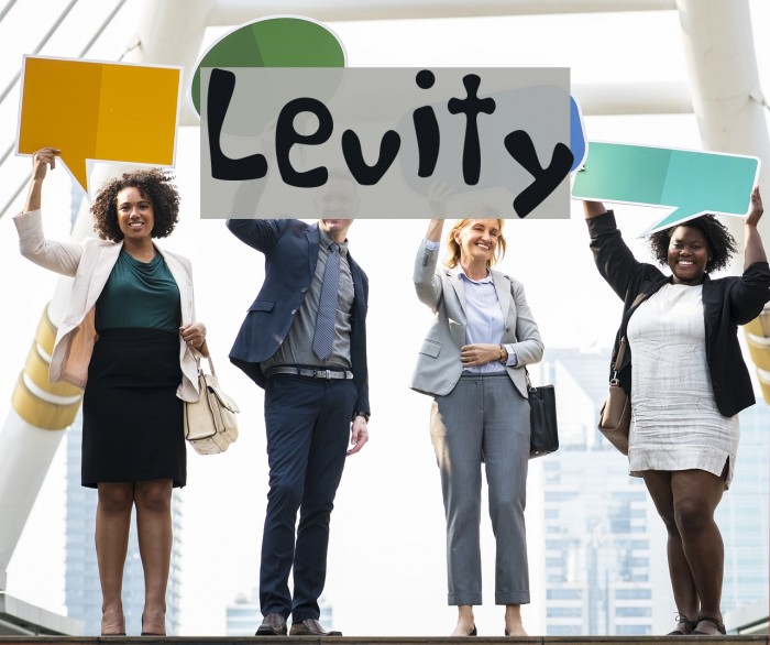 Levity フォント examples
