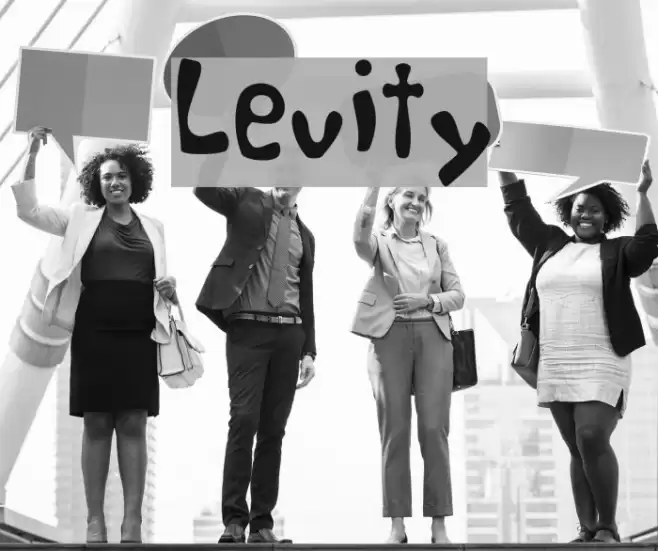Levity フォント examples