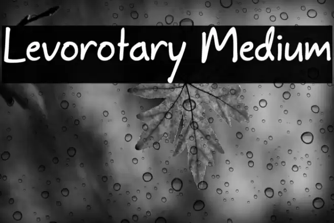 Levorotary Medium Шрифта examples