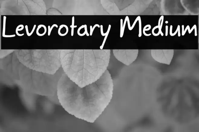 Levorotary Medium Шрифта examples