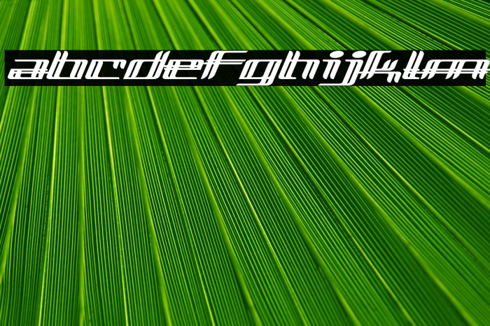 Lewinsky-Regular Example 1