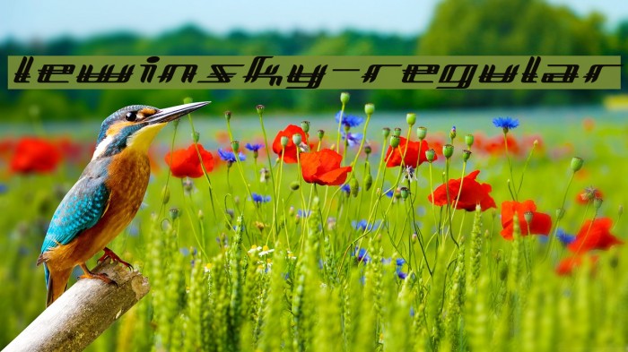 Lewinsky-Regular Example 3