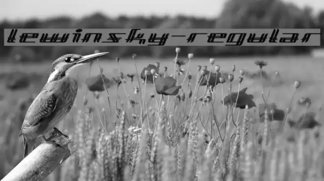 Lewinsky-Regular Font examples