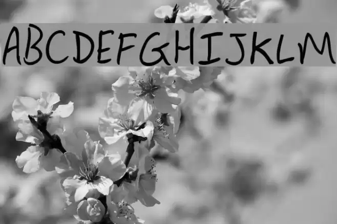 Lewis hand SemiBold Font examples