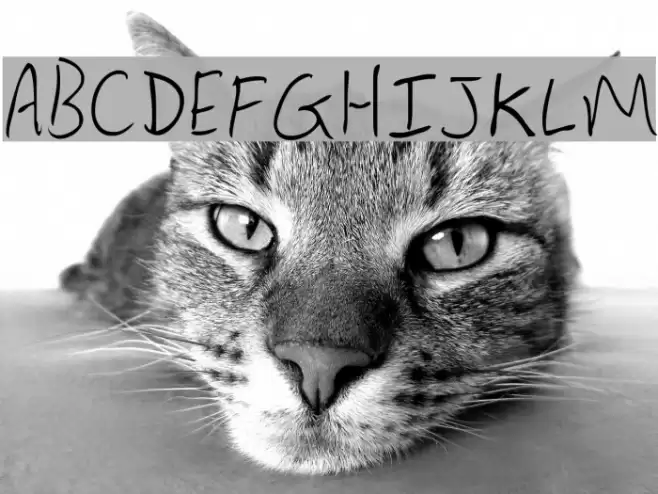 Lewis hand Font examples