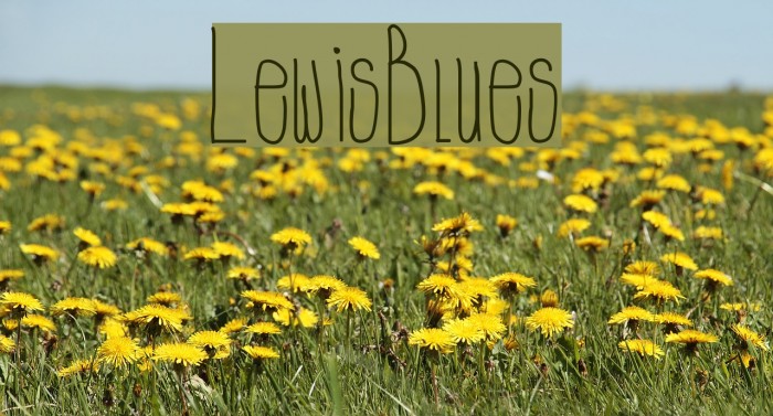 LewisBlues Example 1