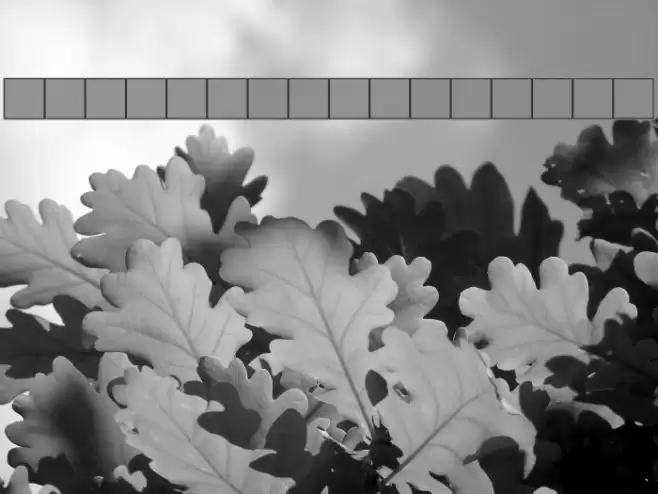 LewishamShadowII フォント examples