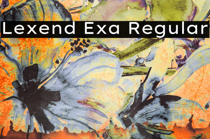 Lexend Exa Regular Font examples