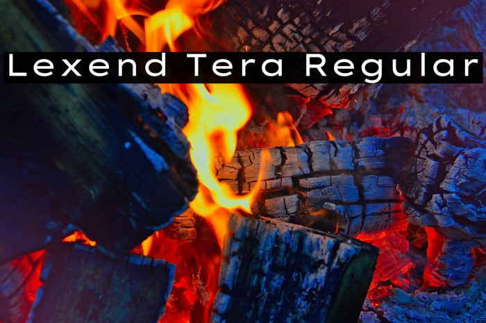 Lexend Tera Regular Font examples