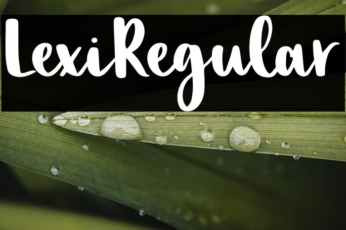 LexiRegular Example 3