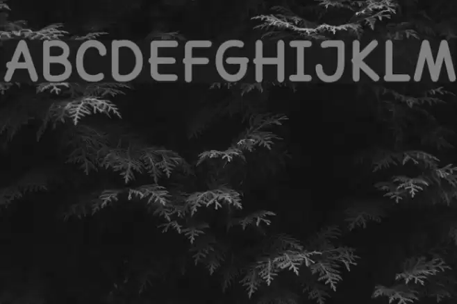 Lexia Bold Font examples