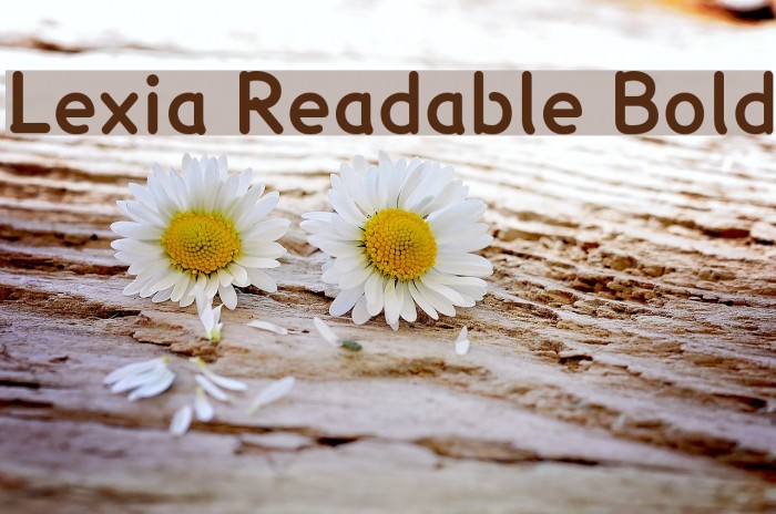 Lexia Readable Bold Example 3