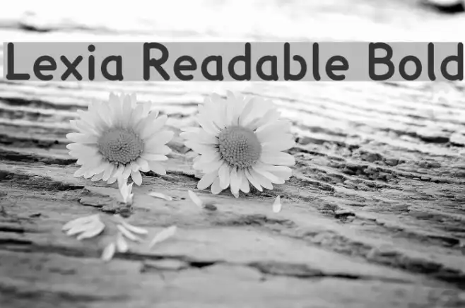 Lexia Readable Bold Example 3