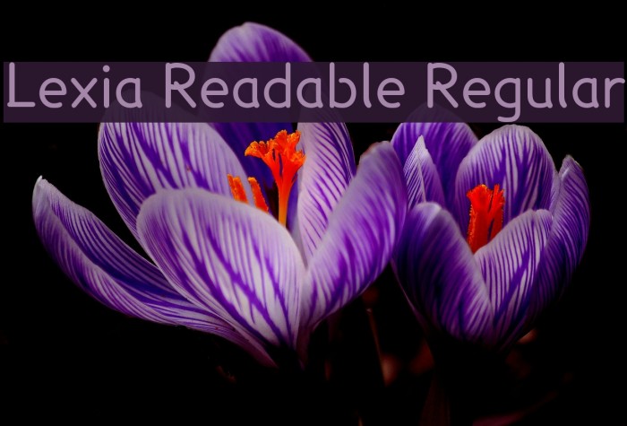 Lexia Readable Regular Example 3