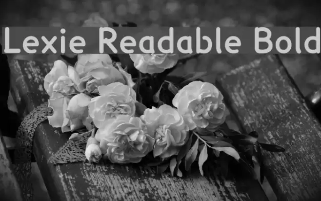 Lexie Readable Bold Font examples
