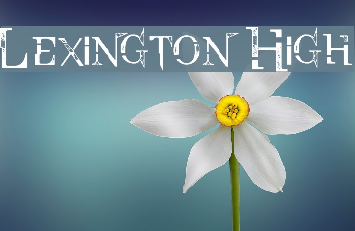 Lexington High Font examples