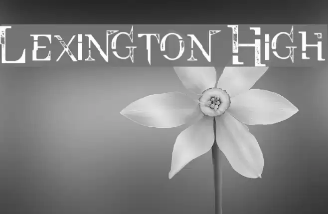 Lexington High フォント examples