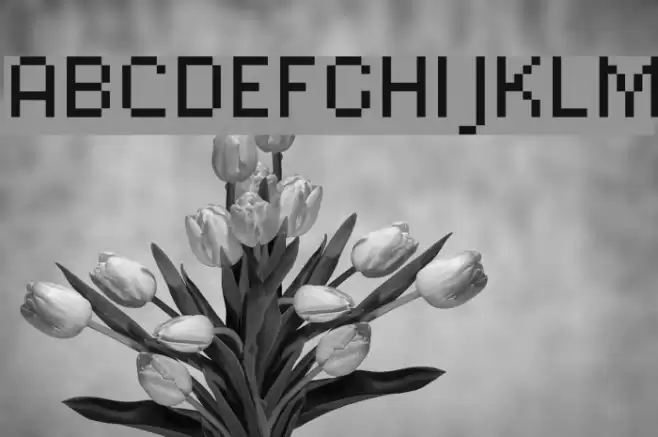 Lexipa Font examples