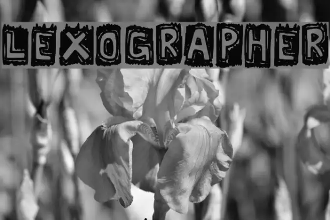 Lexographer Example 1