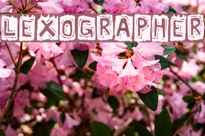Lexographer Font examples