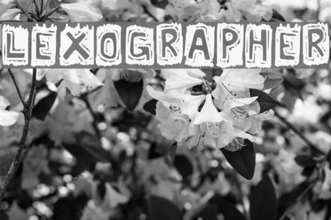 Lexographer Example 3