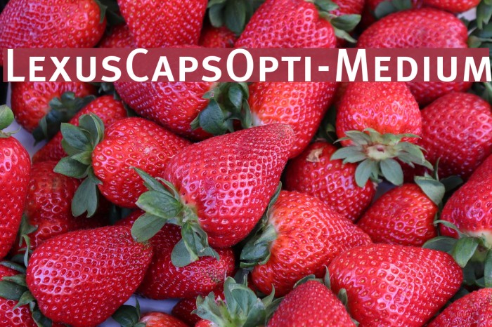 LexusCapsOpti-Medium Font examples