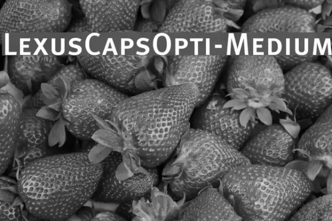 LexusCapsOpti-Medium Font examples