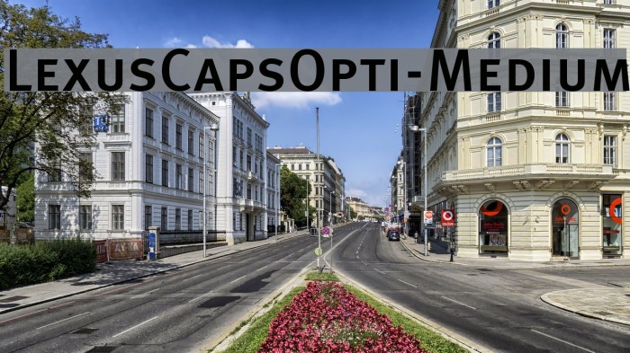 LexusCapsOpti-Medium Font examples