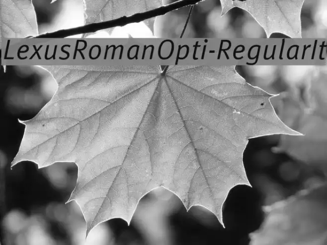 LexusRomanOpti-RegularIt Example 1