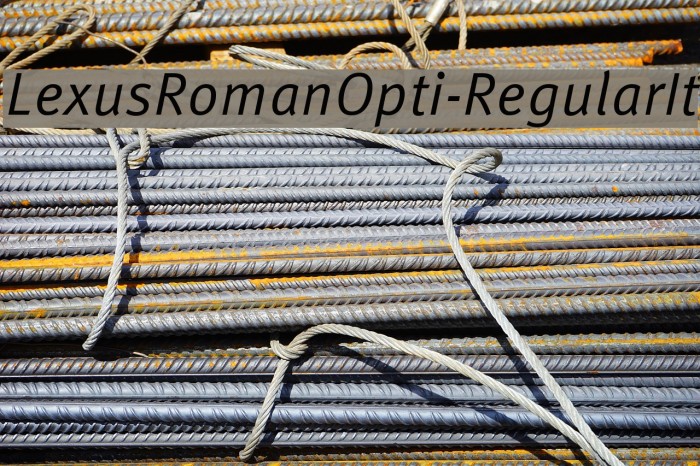 LexusRomanOpti-RegularIt Font examples