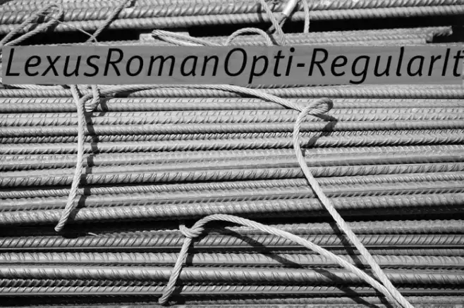 LexusRomanOpti-RegularIt Example 2