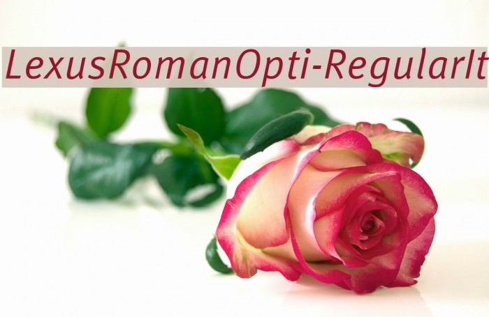 LexusRomanOpti-RegularIt Font examples