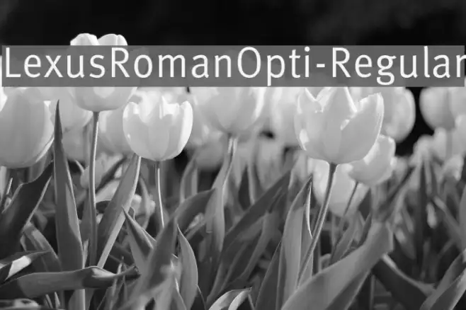 LexusRomanOpti-Regular Example 1