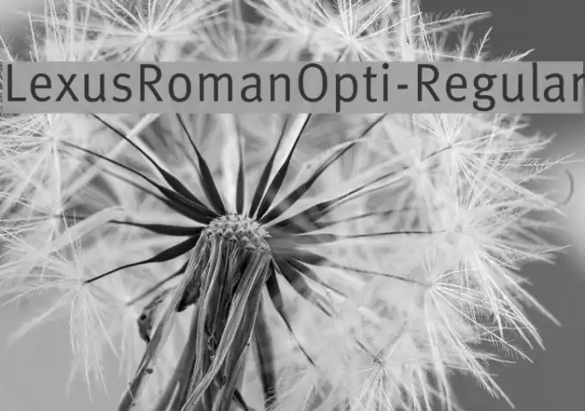 LexusRomanOpti-Regular Example 3